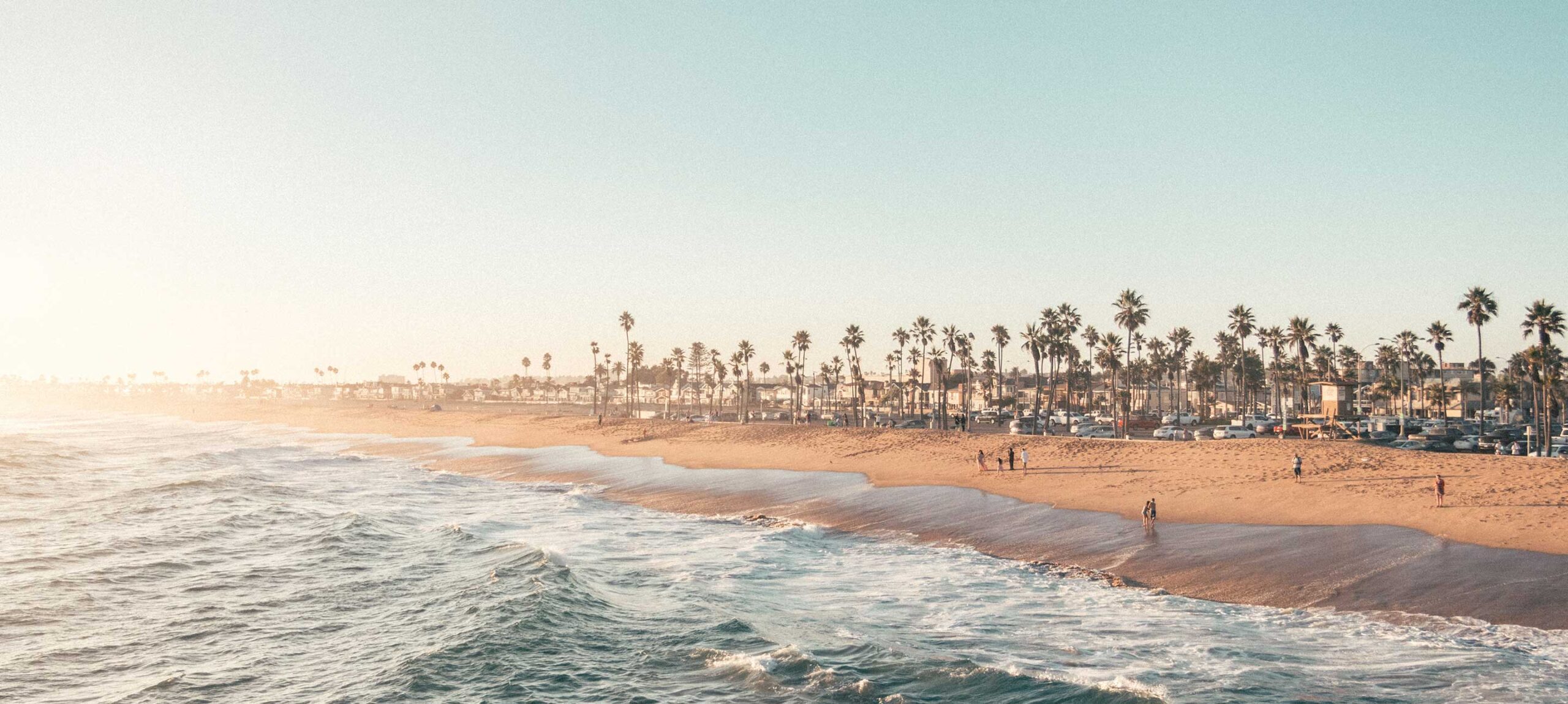 Orange County | headshot